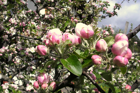 Bauernhofurlaub mit Kleinkind