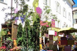 Landeshauptstadt Bozen