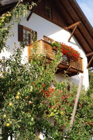 Bauernhofimpressionen