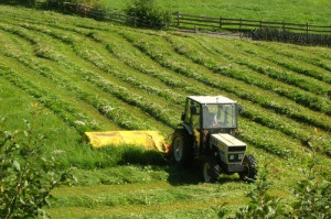 Bauernhofimpressionen